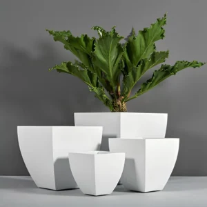 Plinth